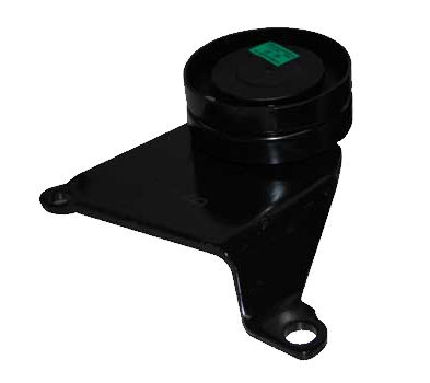 هرزگرد تسمه کولر - ۳۱۵