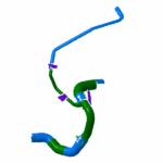 مجموعه شیلنگ پائینی رادیاتور - ام وی ام X22