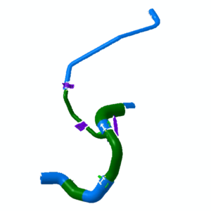 مجموعه شیلنگ پائینی رادیاتور - ام وی ام X22